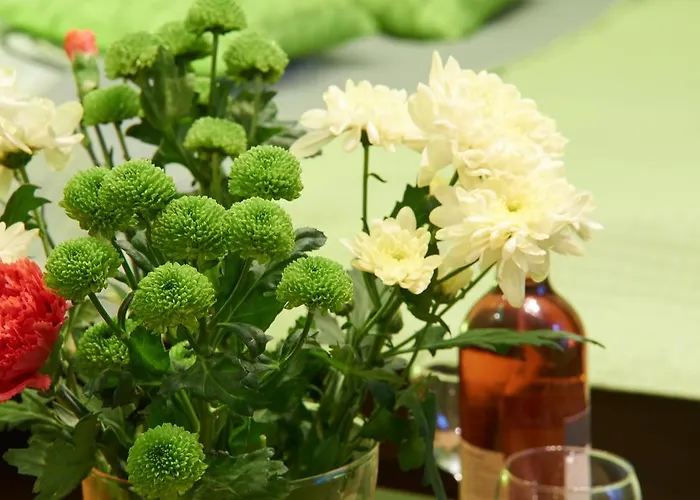 Libro Appartamento Cracovia